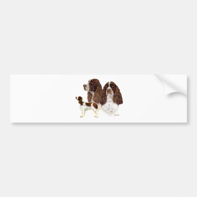 English Springer Spaniel Bumper Sticker (Front)