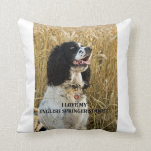 english springer spaniel bwlove w pic cushion