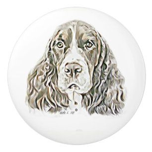 English Springer Spaniel Ceramic Knob