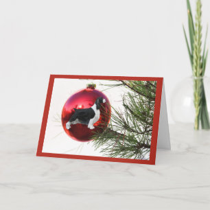English Springer Spaniel Christmas Card Ball