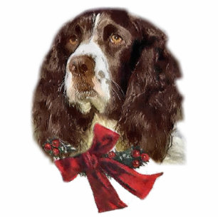 English Springer Spaniel Christmas Gifts Ornament Photo Sculpture Decoration