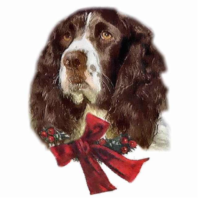 English Springer Spaniel Christmas Gifts Ornament Photo Sculpture Decoration (Front)
