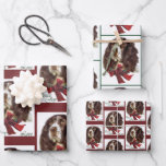 English Springer Spaniel Christmas Wrapping Paper Sheet<br><div class="desc">For that extra special gift that is created for the avid dog lover. You can use our art or personalise by uploading your own photo.</div>