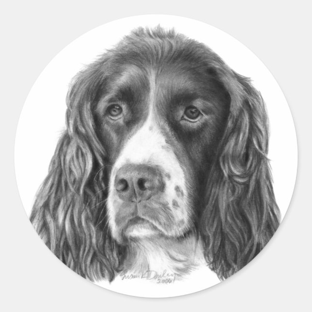 English Springer Spaniel Classic Round Sticker (Front)