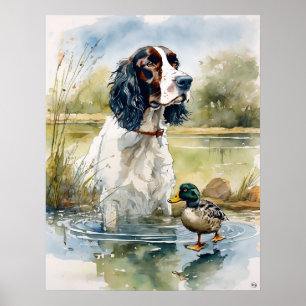 English Springer Spaniel - Dog Art Print