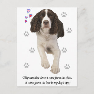 English Springer Spaniel Dog Postcard