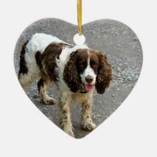 english springer spaniel full.png ceramic tree decoration