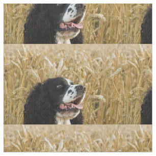 english springer spaniel in wheat.png fabric