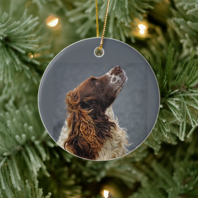 English Springer Spaniel Liver & White Looking Up Ceramic Tree Decoration (Tree)