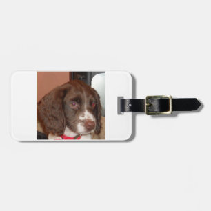 English_Springer_Spaniel lw puppy Luggage Tag