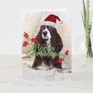 English Springer Spaniel Merry Christmas Cards