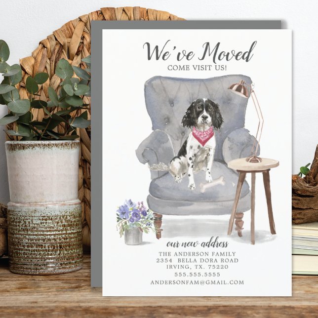 English Springer Spaniel Moving Announcement (Creator Uploaded)