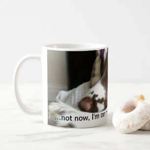 English Springer Spaniel mug
