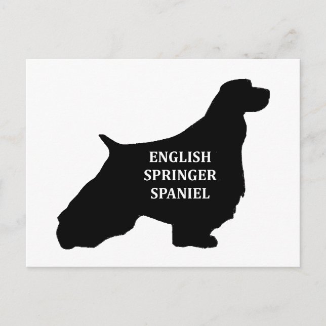 english springer spaniel name silhouette postcard (Front)