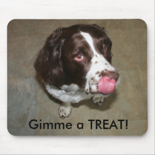 English Springer Spaniel, Otis wants a Treat! Mouse Mat
