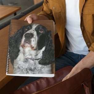 English Springer Spaniel Pet Photo Calendar   Planner
