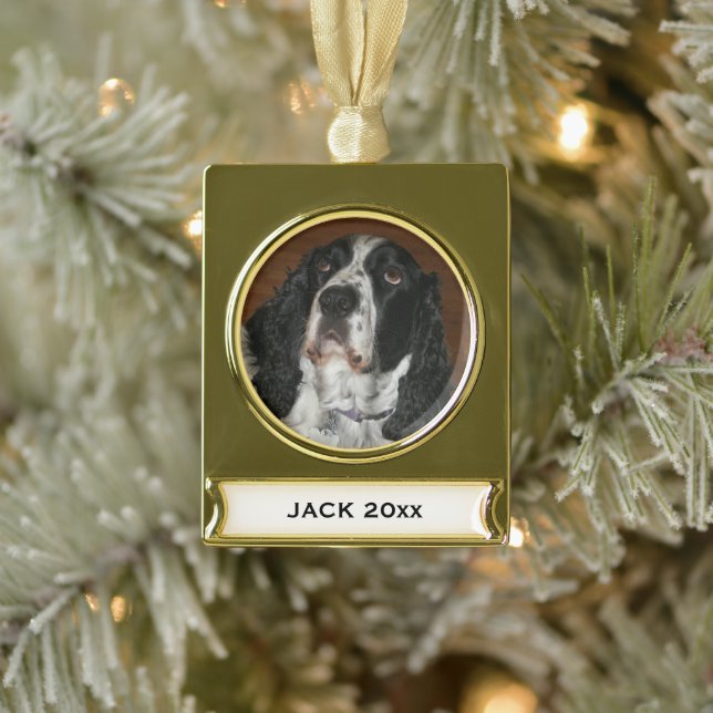 English Springer Spaniel Pet Photo Gold Plated Banner Ornament (Tree)