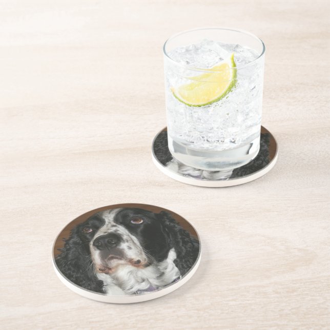 English Springer Spaniel Pet Photo Sandstone Coaster (Side)