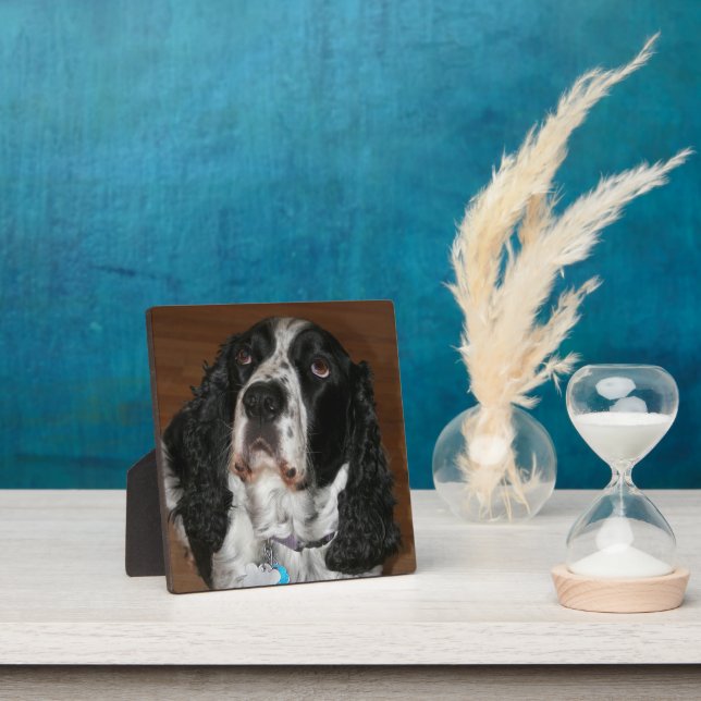 English Springer Spaniel Pet Photo Square Plaque (Insitu)
