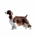 English Springer Spaniel Photo Sculpture Decoration<br><div class="desc">English Springer Spaniel</div>