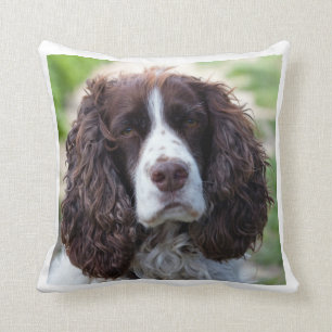 english springer spaniel.png cushion