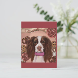 English Springer Spaniel    Postcard
