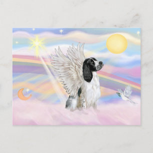 English Springer Spaniel Postcard