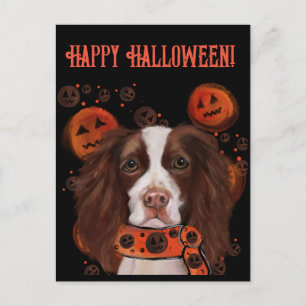 English Springer Spaniel Postcard