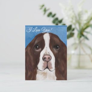 ENGLISH SPRINGER SPANIEL POSTCARD