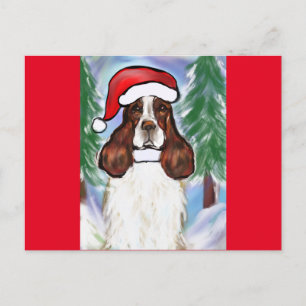 ENGLISH SPRINGER SPANIEL POSTCARD