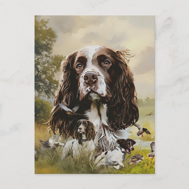 English Springer Spaniel Postcard (Front)