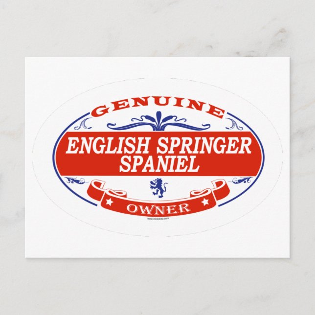 English Springer Spaniel  Postcard (Front)