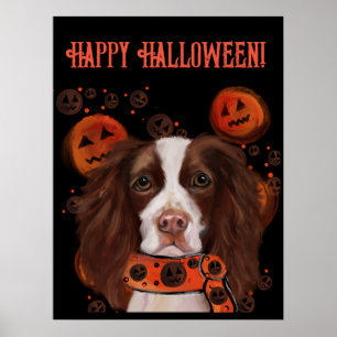 English Springer Spaniel       Poster