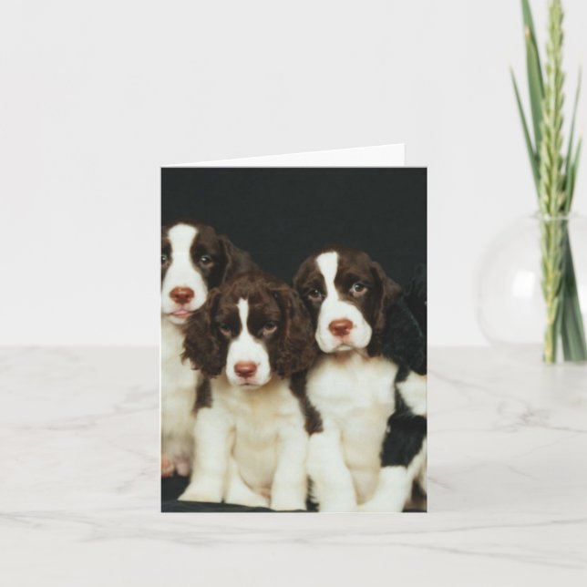 English Springer Spaniel Puppies (2) Card (Front)