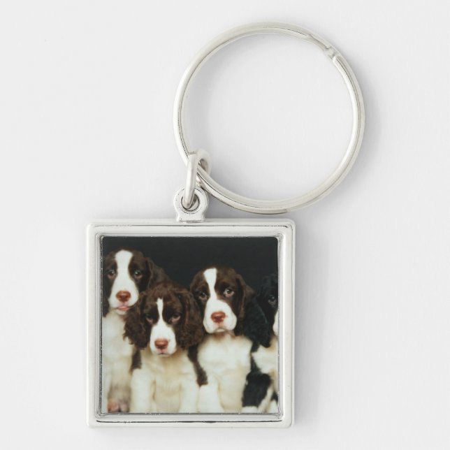 English Springer Spaniel Puppies (2) Key Ring (Front)