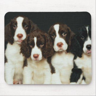 English Springer Spaniel Puppies (2) Mouse Mat