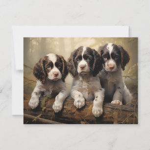 English springer spaniel puppies postcard