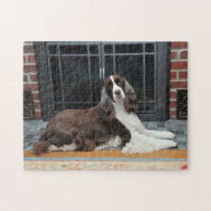 English Springer Spaniel Puzzle