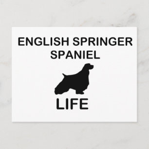English Springer Spaniel silo life2 Postcard