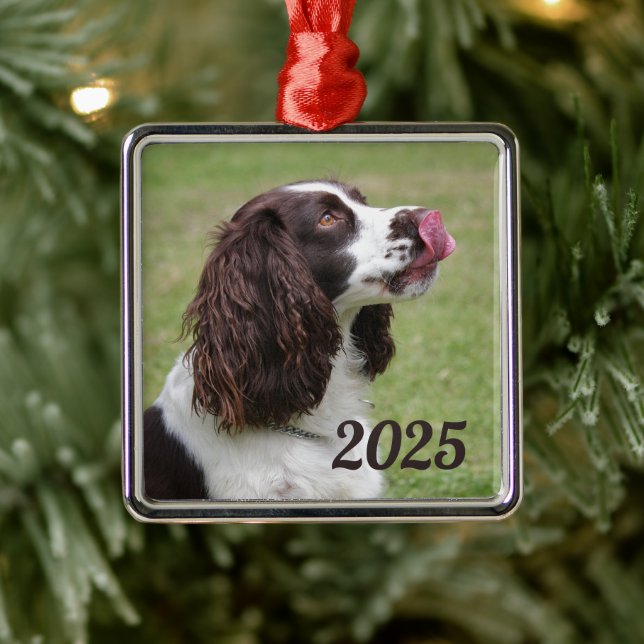 English Springer Spaniel Sitting, Licking Lips Metal Tree Decoration (Tree)