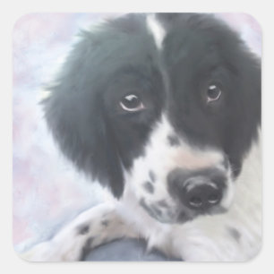 English Springer Spaniel Sticker
