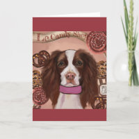 English Springer Spaniel   