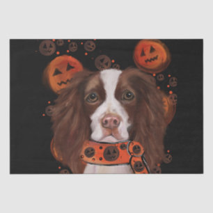 English Springer Spaniel       Tissue Paper