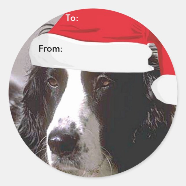 English Springer Spaniel To/From Xmas stickers (Front)