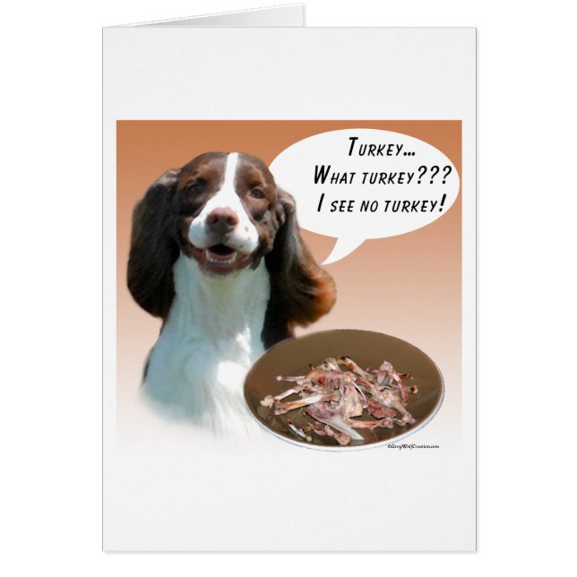 English Springer Spaniel Turkey (Front)