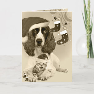 English Springer Spaniel Xmas Holiday Card