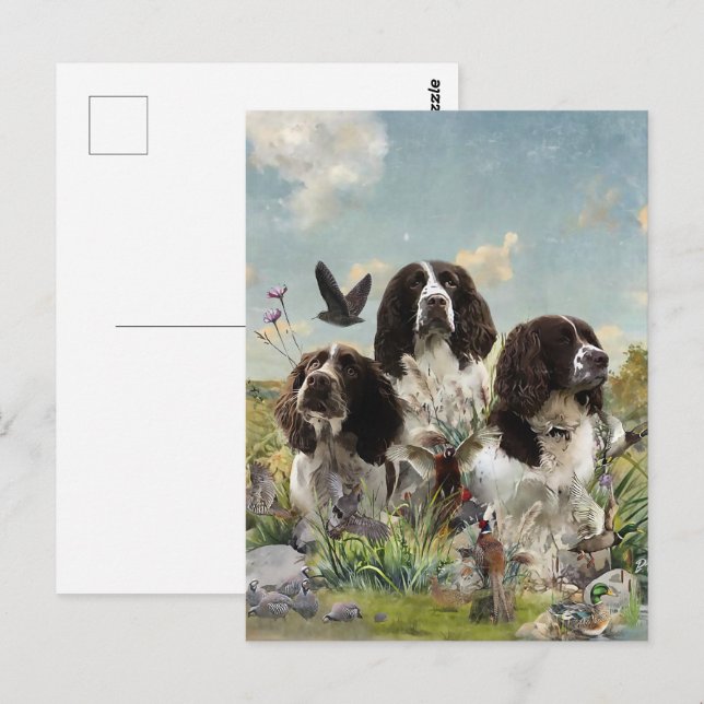 English Springer Spaniels ,Art Postcard (Front/Back)