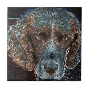 English Springer Tile