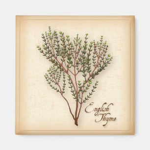 English Thyme Herb Magnet