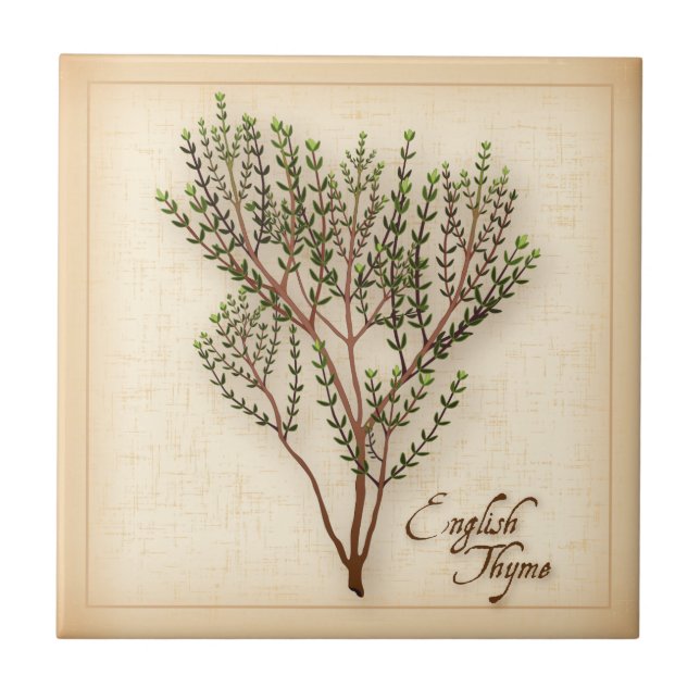 English Thyme Herb Tile (Front)